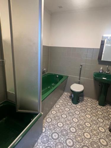 a bathroom with a green tub and a toilet at Unterkunft in Oberwinter in Remagen