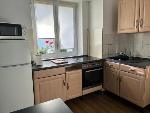 Kuchyň nebo kuchyňský kout v ubytování SkyLineApartment