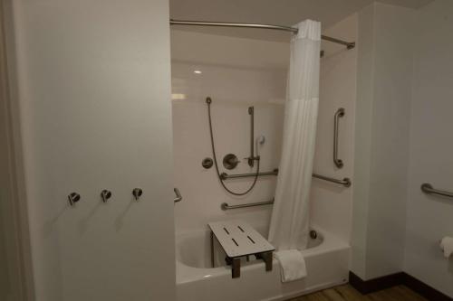 a bathroom with a shower with a bench in it at Hampton Inn & Suites Lenoir, NC in Lenoir