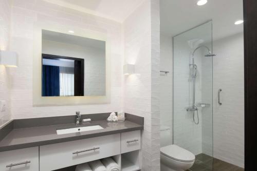 Homewood Suites By Hilton Santo Domingo في سانتو دومينغو: حمام مع مرحاض ومغسلة ودش