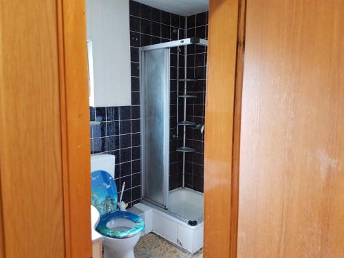 y baño con ducha y aseo. en Pension Ehringshausen, en Ehringshausen