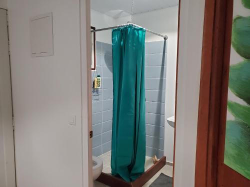 a bathroom with a shower with a blue shower curtain at Fare Mihiau 2 in Hauru