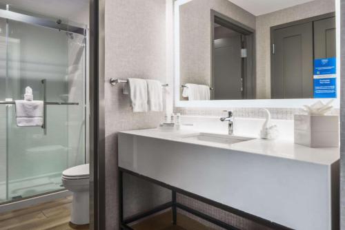 a bathroom with a sink and a toilet and a mirror at Homewood Suites by Hilton DFW Airport South, TX in Fort Worth