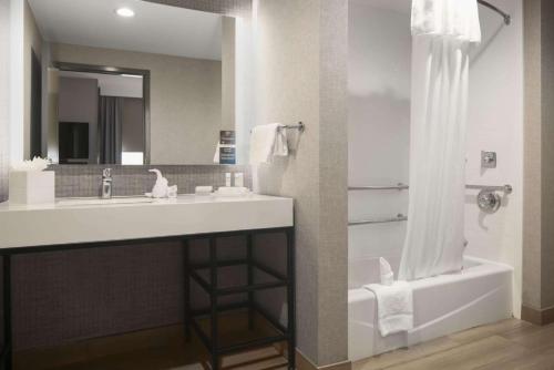 a bathroom with a sink and a mirror and a tub at Homewood Suites by Hilton DFW Airport South, TX in Fort Worth