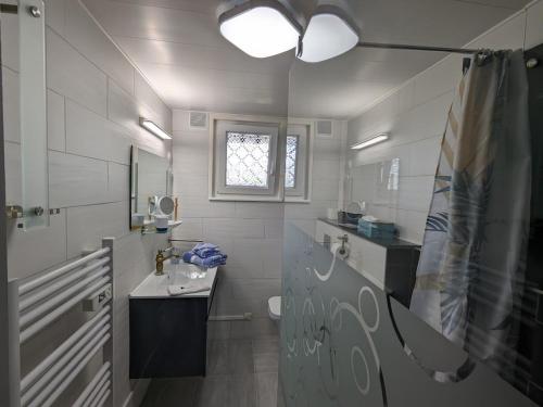 Bruyères的住宿－Guestroom Bruyères, 1 pièce, 2 personnes - FR-1-589-602，一间带水槽和卫生间的浴室以及窗户。