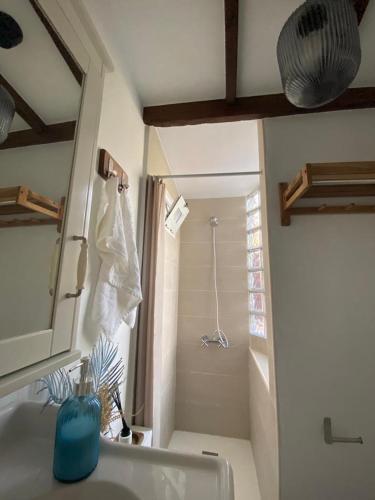 a bathroom with a sink and a shower with a mirror at Casa Rural "El Patio de Paca" in Tegueste