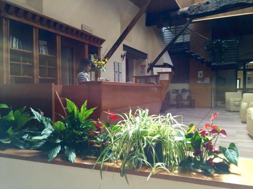 a woman standing at the counter of a restaurant with plants at Casa Religiosa di Ospitalità San Ponziano in Spoleto