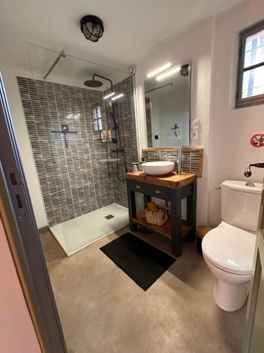 a bathroom with a shower and a toilet and a sink at L’impasse - Au bord de l’eau in Épagne-Épagnette