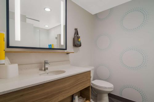 ウィルソンにあるTru By Hilton Wilsonのバスルーム(洗面台、トイレ、鏡付)