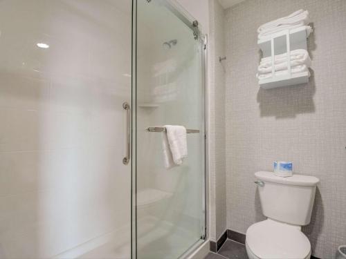 a shower stall in a bathroom with a toilet at Hampton Inn & Suites Williamstown Ark Encounter, Ky in Williamstown