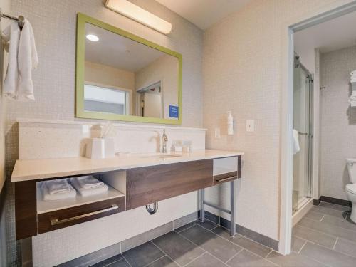 威廉斯敦的住宿－Hampton Inn & Suites Williamstown Ark Encounter, Ky，一间带水槽和镜子的浴室
