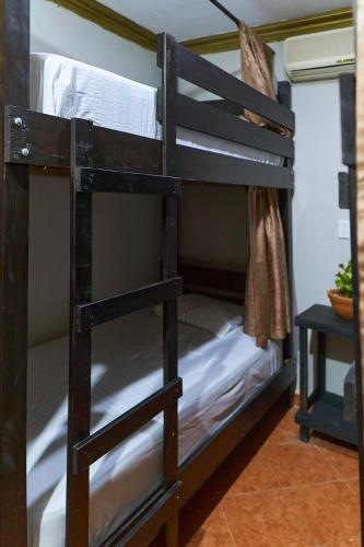 a couple of bunk beds in a room at Hostal Ixchel - AC, WiFi & Tours in Valladolid Downtown in Valladolid