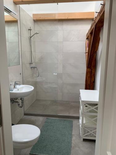 ein Bad mit einer Dusche, einem WC und einem Waschbecken in der Unterkunft Ferienhof Weitblick in Letschin