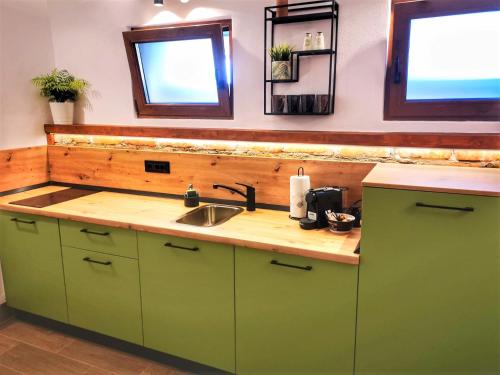 シビウにあるT Houseのキッチン(緑のキャビネット、シンク付)