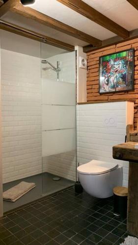 Bel appartement atypique quartier St Cyprien