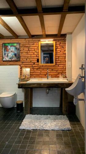 une salle de bain avec un lavabo et des toilettes dans l'établissement Bel appartement atypique quartier St Cyprien, à Toulouse