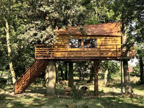 une cabane dans les arbres sur deux arbres dans un parc dans l'établissement Tree Vill, à Golędzinów