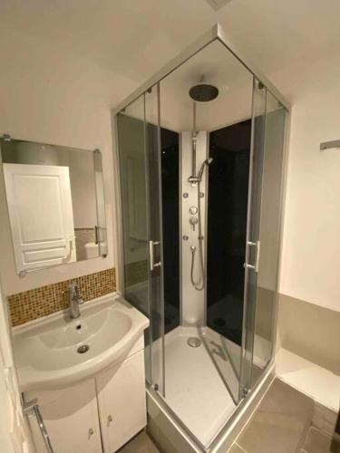 une salle de bain avec douche et lavabo dans l'établissement Studio climatisé sur courette, à Nîmes