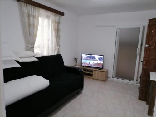 ein Wohnzimmer mit einem schwarzen Sofa und einem TV in der Unterkunft Casa Michel 