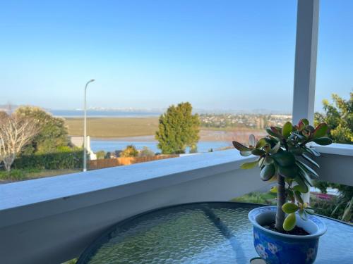 Fotografie z fotogalerie ubytování Auckland Sea&SkyTower view Homestay with free Netflix, Parking v Aucklandu