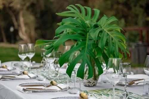 Bevande di Bushbaby Valley Lodge