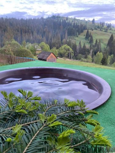 a swimming pool in the middle of a green field at Villa Filiak in Yablunytsya