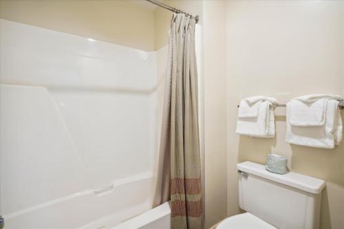 a bathroom with a white toilet and a shower at Cedarbrook Deluxe Two Bedroom Suite with outdoor heated pool 21202 in Killington