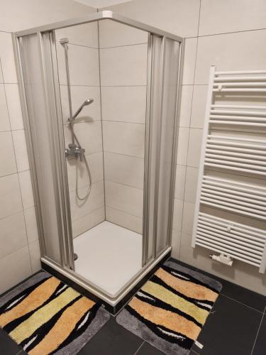 a shower with a glass door in a bathroom at MD- City, chic, Erdgeschoss, BESTPREIS- Leistung, wir bieten 1 Dreibettzimmer, plus DZ bis 5 Personen , Küche, Bad in Magdeburg