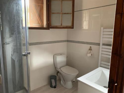 ein Badezimmer mit Toilette, Waschbecken und Dusche in der Unterkunft Maison de montagne in Auzat