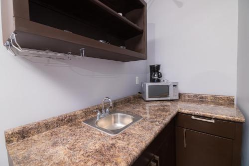 a kitchen counter with a sink and a microwave at Cabaña en el Valle in Ensenada