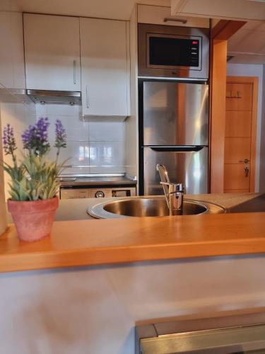 La cuisine est équipée d'un évier et d'un réfrigérateur en acier inoxydable. dans l'établissement Apartamento El Estrecho, à Algésiras