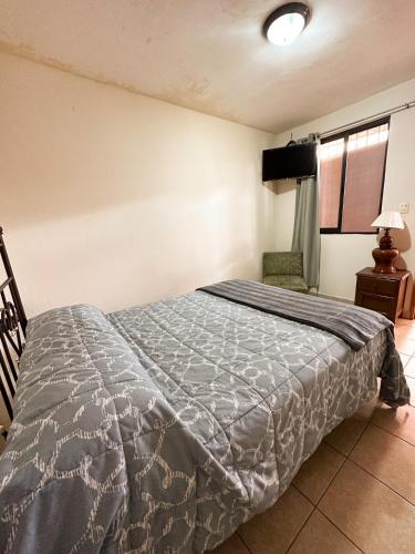 Postelja oz. postelje v sobi nastanitve Hotel “El Dorado”