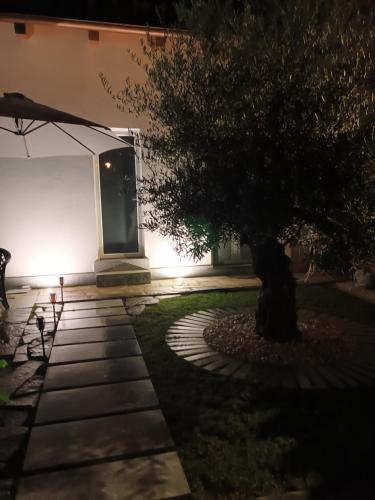 un árbol delante de un edificio por la noche en Villa Celeste en Murazzo