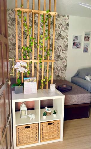 Apartamento- loft en recinto privado - Terapia Salada