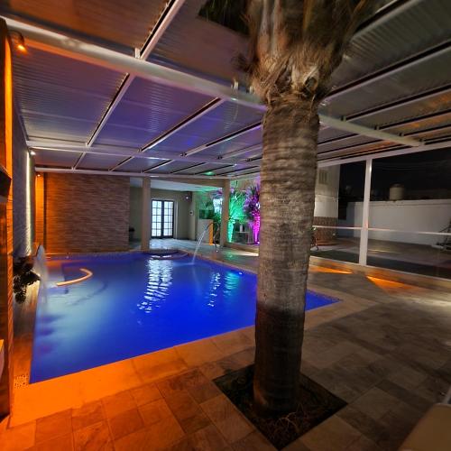 a swimming pool with a palm tree in a building at Hotel Gran Habana - 3 Piscinas Termales - desayuno buffet - Centro in Termas de Río Hondo