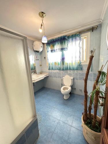 a bathroom with a toilet and a sink and a window at فيلا برايفت مارينا 7 الساحل الشمالي in El Alamein