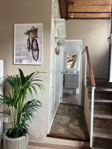 a hallway with a staircase with a bike on the wall at Casa Rural "El Patio de Paca" in Tegueste