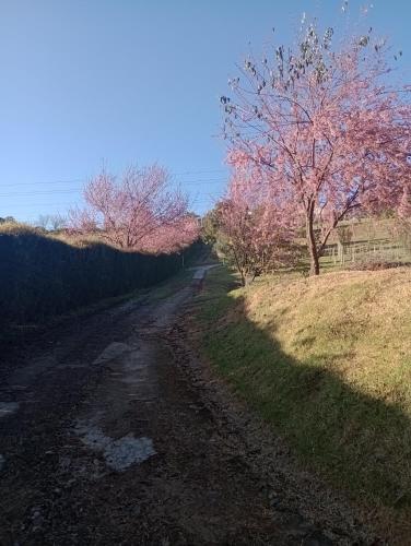 Příroda nedaleko penzionu