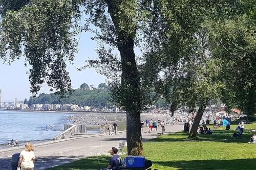 a group of people sitting in a park next to the water at Alki Beach Cottage, NEW, 2 bedrooms, 2 bathrooms, near beach, AC, WD, Parking in Seattle