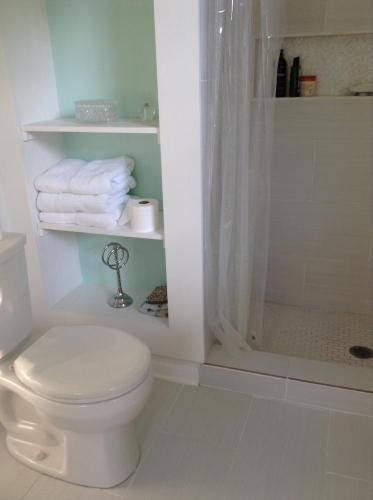 ein Bad mit einem WC, einer Dusche und Handtüchern in der Unterkunft House on the Gwynns Falls in Baltimore