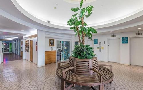a potted plant sitting on a bench in a lobby at Waikiki condo -18F in Honolulu