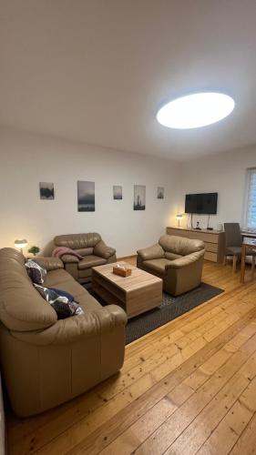 sala de estar con 2 sofás y TV en Erdgeschoss Apartment am Park im Theaterviertel in Oberhausen, en Oberhausen