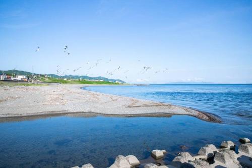 uma praia com um bando de pássaros a voar sobre a água em THE VILLA MATSUMAE 