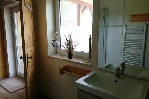 a bathroom with a sink and a window and a mirror at Ferienwohnung LeoFix in Klütz