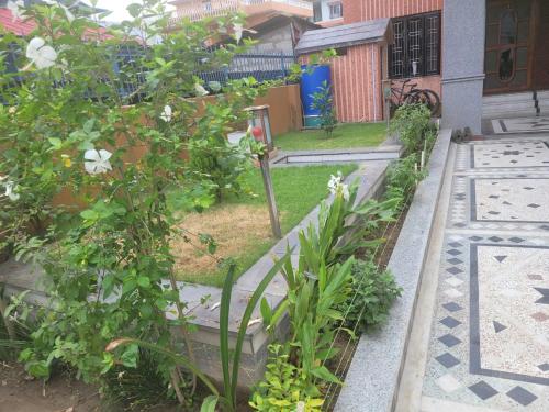 a garden with white flowers and a house at Ishani House in Bharatpur