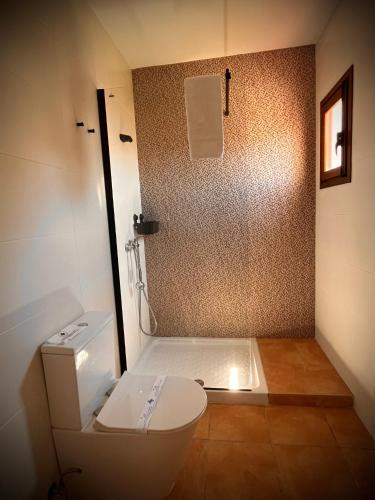 a bathroom with a toilet and a shower at Apartamento Flor in Cártama