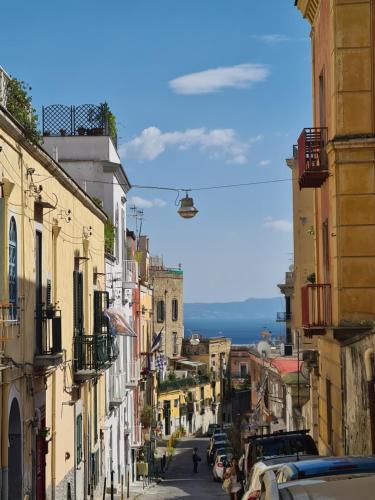 L'ORLANDO INNAMORATO
