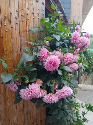 Zahrada ubytování Chunjian Guesthouse