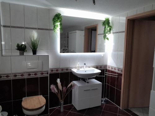 een badkamer met een wastafel, een toilet en een spiegel bij Monteurhaus in Sallgast