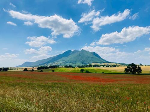 a mountain in the middle of a field with a grass field at Il Cottage di Stella incantevole appartamento in SantʼOreste